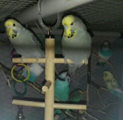 Mamma & dotter i A-kullen